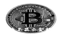 为什么tpWallet买的币不显示金额？全面解析与解决