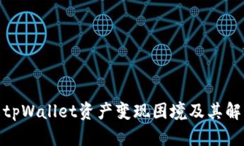 : 了解tpWallet资产变现困境及其解决方案