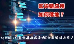 揭秘tpWallet：真的存在病毒吗？全面解析与用户指