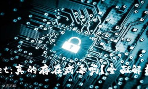 揭秘tpWallet：真的存在病毒吗？全面解析与用户指南