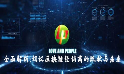 全面解析：蚂蚁区块链经销商的现状与未来