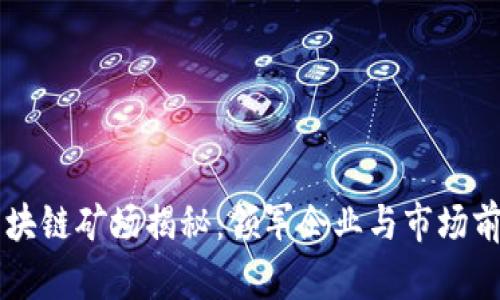 新疆区块链矿场揭秘：领军企业与市场前景分析