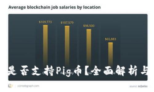 TPWallet是否支持Pig币？全面解析与用户指南